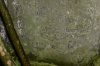 cemetery - names on bottom half of headstone.jpg