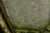 cemetery - bottom of headstone_hard to read.jpg