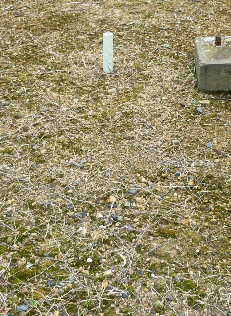 www.findagrave.com